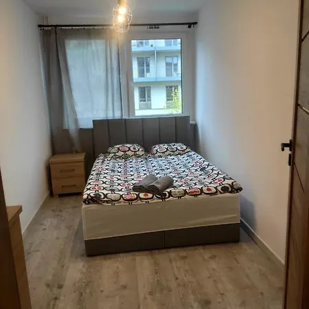 4 * Wrocław